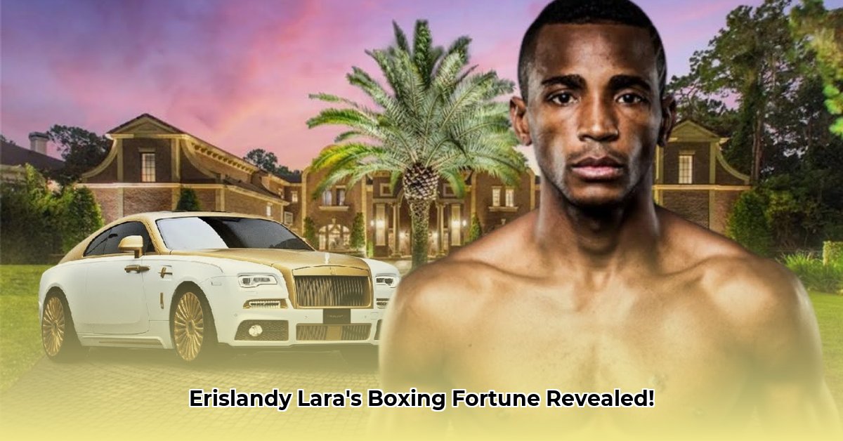 erislandy-lara-net-worth